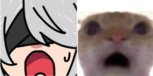 Figure 1 - Normal emote